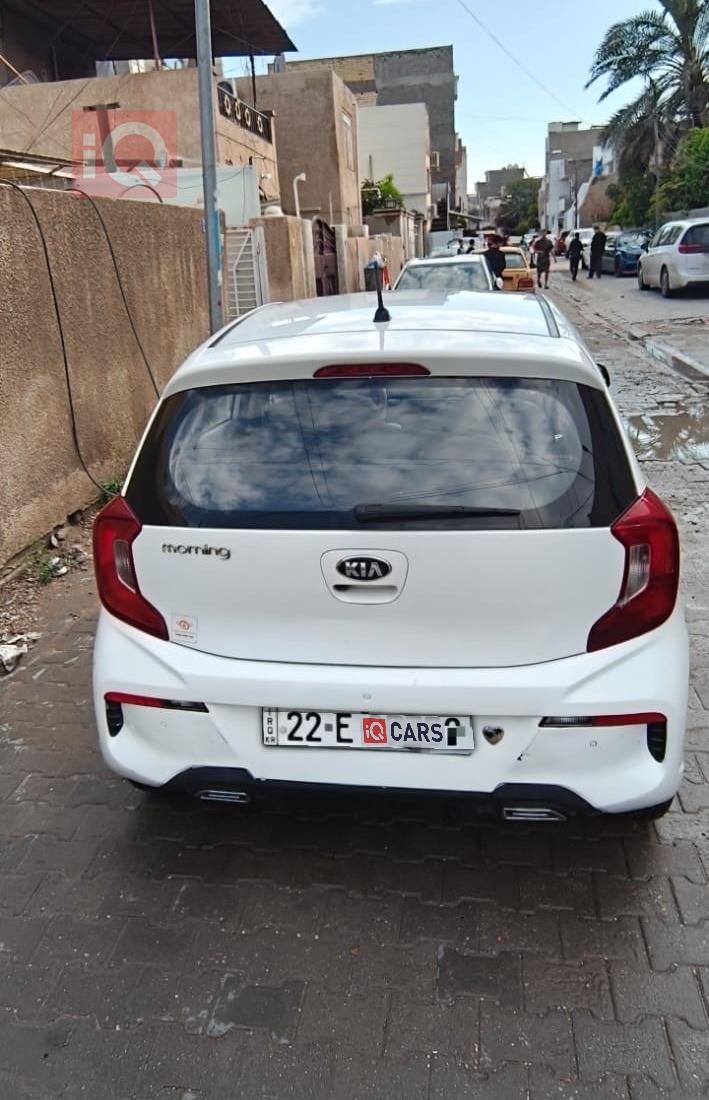 كيا بيكانتو